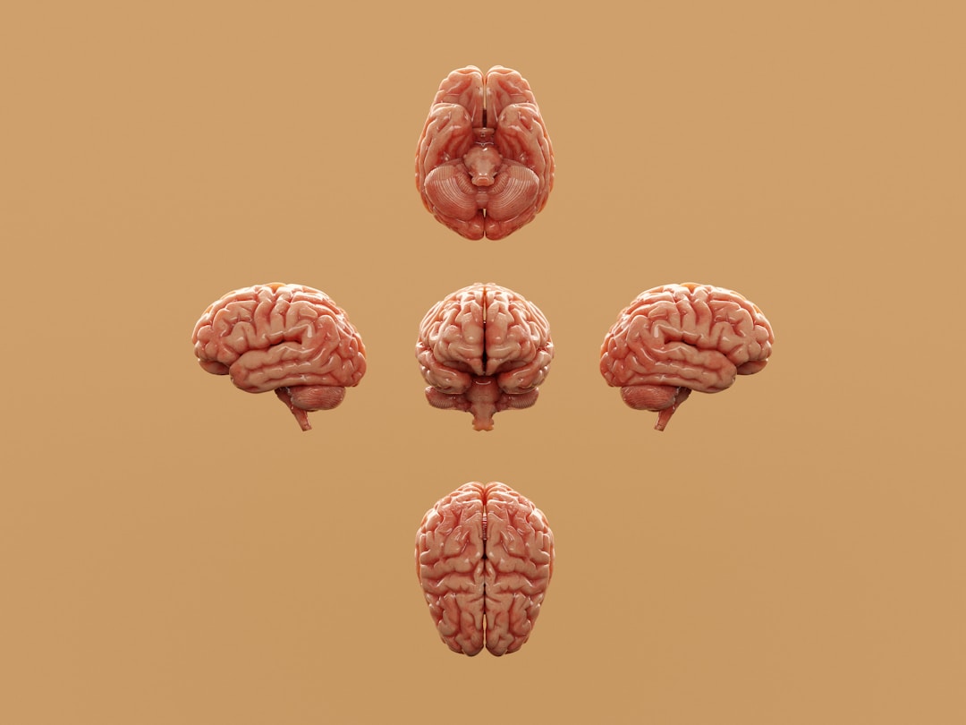 A conceptual visualization of stress physiology showing the interconnected nervous system response that wearable devices attempt to measure